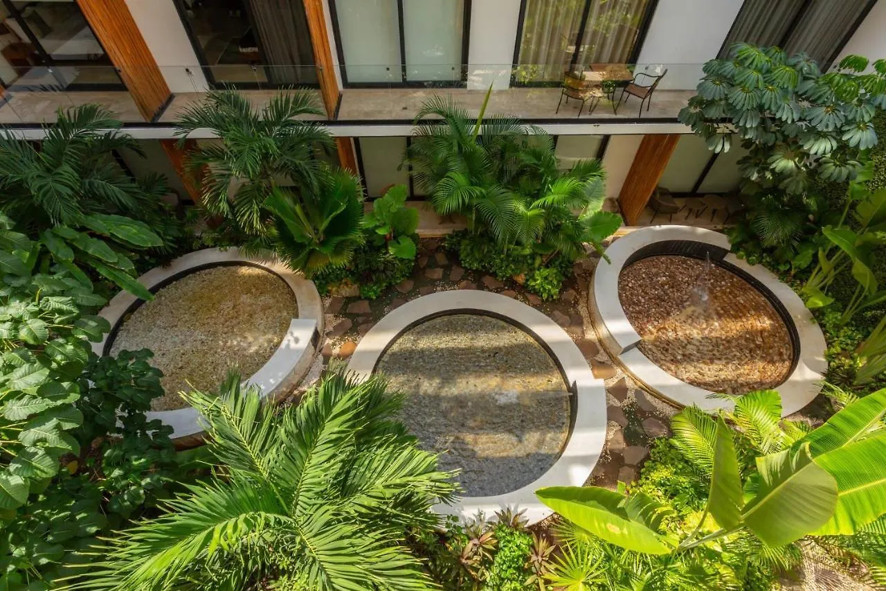 Cozy Studio In Playa Del Carmen Downtown - Few Steps From The Beach